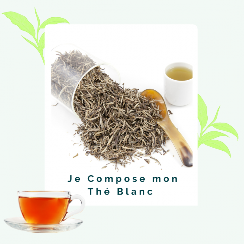 Maté Maté